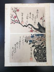 日本三大窑工之一 尾形乾山 木版画花卉 其陶瓷绘画受茶家追捧
