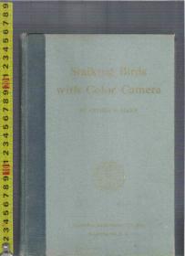 原版英文鸟类摄影 Stalking Birds with Colour Camera / Arthur A. Allen （32开本精装本）