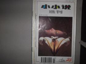 小小说选刊   1995第23期