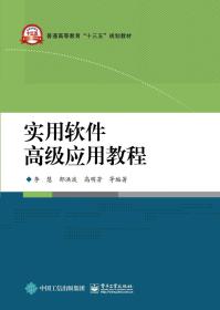 实用软件高级应用教程