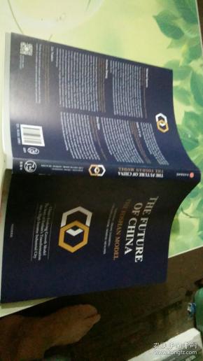 中国未来：佛山模式（一册）