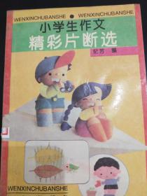 小学生作文精彩片断选