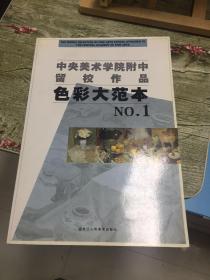 （请看描述）正版假一罚十 中央美术学院附中留校作品 色彩大范本 no.1