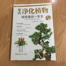 情趣生活系列：室内净化植物观赏栽培一本全