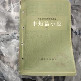 陀思妥耶夫斯基作品集中短篇小说