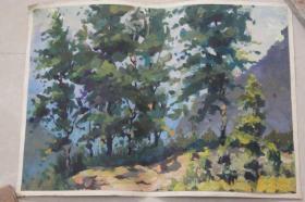 一九七八年无款油画之一（54X39CM）