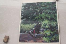 一九七八年无款油画之三（54X39CM）