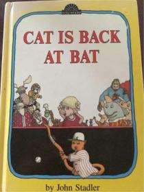 Cat Is Back At Bat