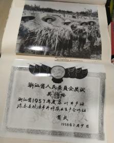 浙江杭州1950年内容大幅老照片，包括五十年代大跃进，《光辉的历程 第七部分第一单元 探索中前进》多张，品相如图，照片都拍照了，有钱塘江海塘照，毛泽东视察杭州小营巷照片，周恩来视察浙江新安江时髦吊带裤照片，周恩来江华讲话会议杭州照片，约四开八开，尺寸未量，粘在对开厚纸上，对折，照片基本可以，有放大的，也有原底片冲印，历史展览照片，估计为八十年代冲印，有历史收藏价值38张，还有两张杭州锅炉厂照没上去