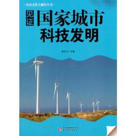 历史文化大聚焦丛书：见证国家城市 科学发明