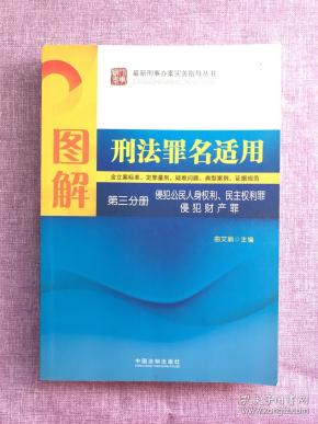 图解刑法罪名适用（第3分册）侵犯公民人身权利、民主权利罪、侵犯财产罪