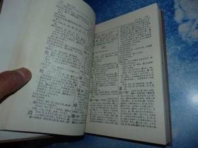 简明古汉语词典 精装