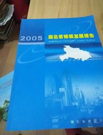 2005湖北省城镇发展报告