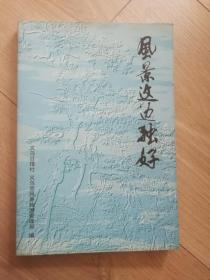 风景这边独好