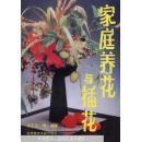 家庭养花与插花