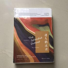迷人的流浪