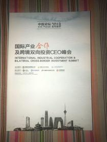 国际产业合作及跨境双向投资CEO峰会2018