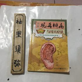 图解观耳辨病与耳穴疗法