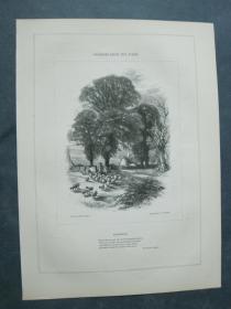 1850年 木口木刻 木版画 PASSAGES FROM THE POETS系列之9&10 正面《MORNING》背面《SUMMER》
