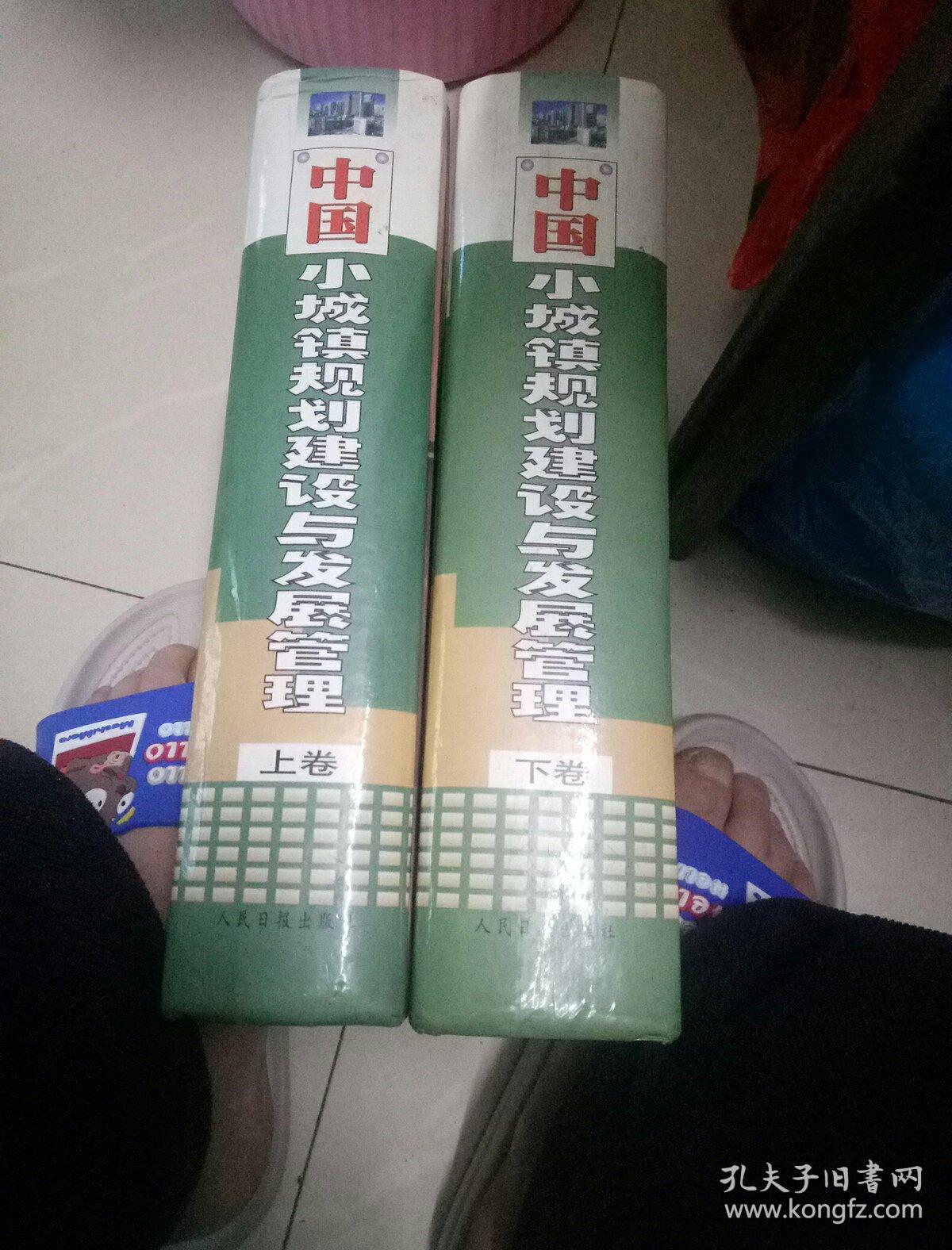 点击查看原图 中国小城镇规划建设与发展管理(上下卷一版一印)