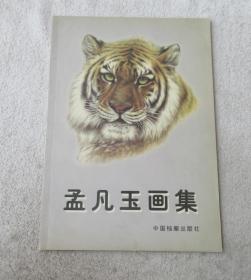 孟凡玉画集