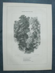 1850年 木口木刻 木版画 PASSAGES FROM THE POETS系列之22《THE CASTLE GARDEN》 背面有文字