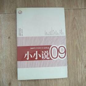 2009年中国小小说精选