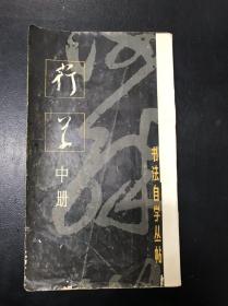 书法自学丛帖—行草（中册）