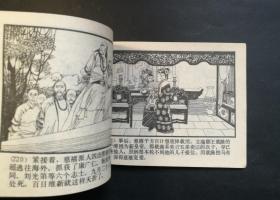 慈禧罪恶史（砖头厚书）