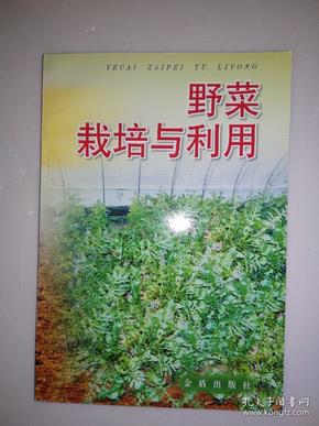 野菜栽培与利用