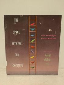 中东诗歌与绘画精选集 The Space Between Our Footsteps: Poems and Paintings from the Middle East （中东研究）英文原版书