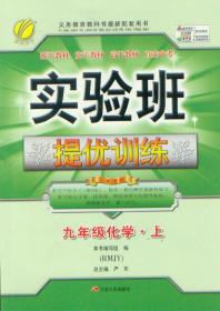 实验班提优训练 九年级 化学 上册 RMJY 人教版 江苏人民出版社