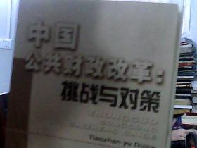 中國(guó)公共財(cái)政改革：挑戰(zhàn)與對(duì)策