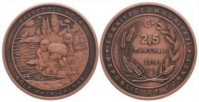 土耳其 2016年 纳斯列丁英雄故事二 2.5里拉 仿古纪念币