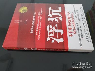 浮沉：最激励人心的职场生存小说