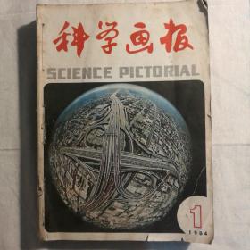 科学画报1984全年合订 【 正版品好 实拍如图 】