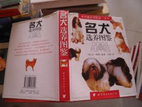 名犬选养图鉴