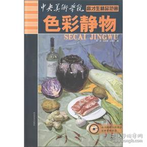 中央美术学院高才生精品范画：色彩静物