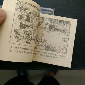 红缨会