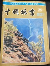中国林业  杂志   1992  7