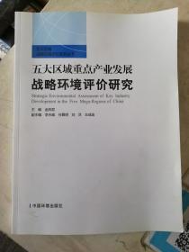 五大区域重点产业发展战略环境评价研究