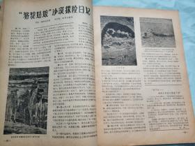 文化与生活 1981.3