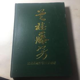 王氏家谱 兰桂藤芳 潼南县双江镇