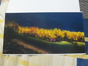 艺术摄影照片536