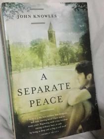 A Separate Peace 《独自和解》