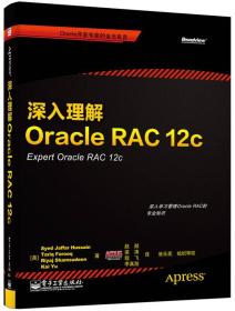 深入理解OracleRAC12c