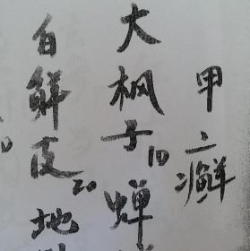 【复印件】中医皮肤科书 兴固寺张大昌《皮肤病中医》