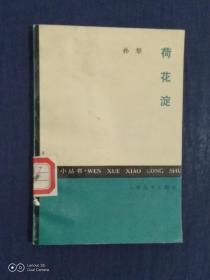 《文学小丛书：荷花淀》（DS）