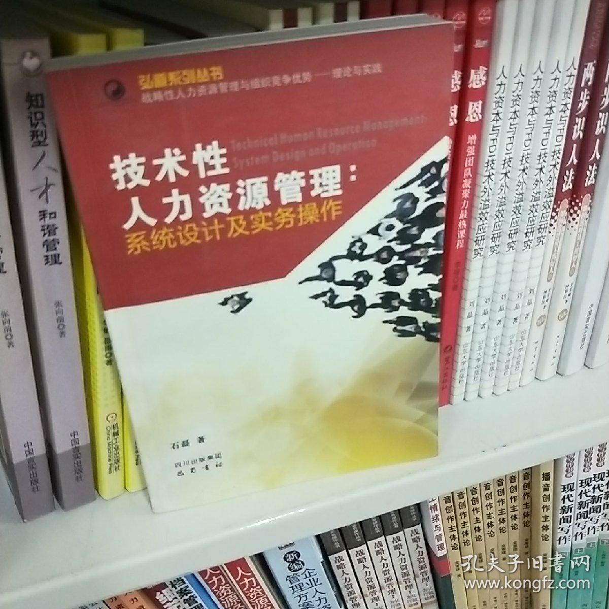 技术性人力资源管理 系统设计及实务操作/弘道系列丛书