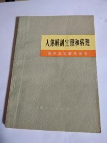 人体解剖生理和病理（医学卫生普及全书）架上